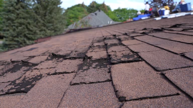 Best Cold Roofs  in Farley, KY