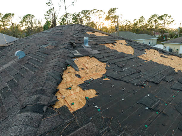Best Solar Panel Roofing Installation  in Farley, KY